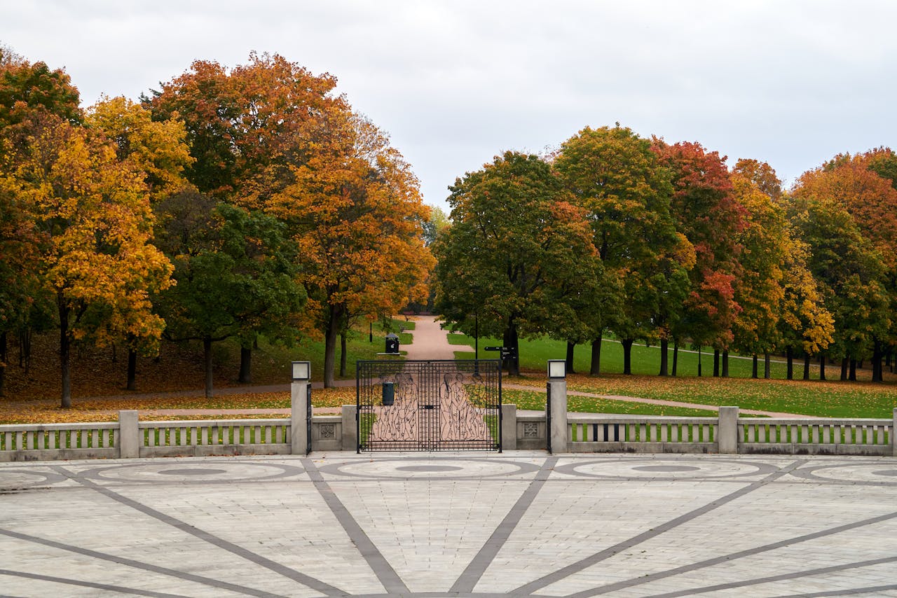 autumn tree colors